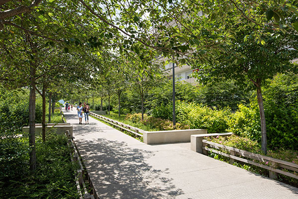 Réaménagement du secteur du Forum, quartier Montreynaud